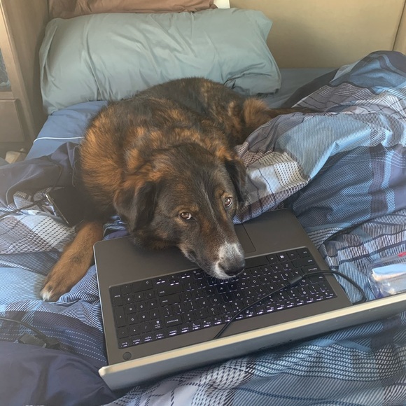 Meet your Posher, Shannon - Picture 17 of 17